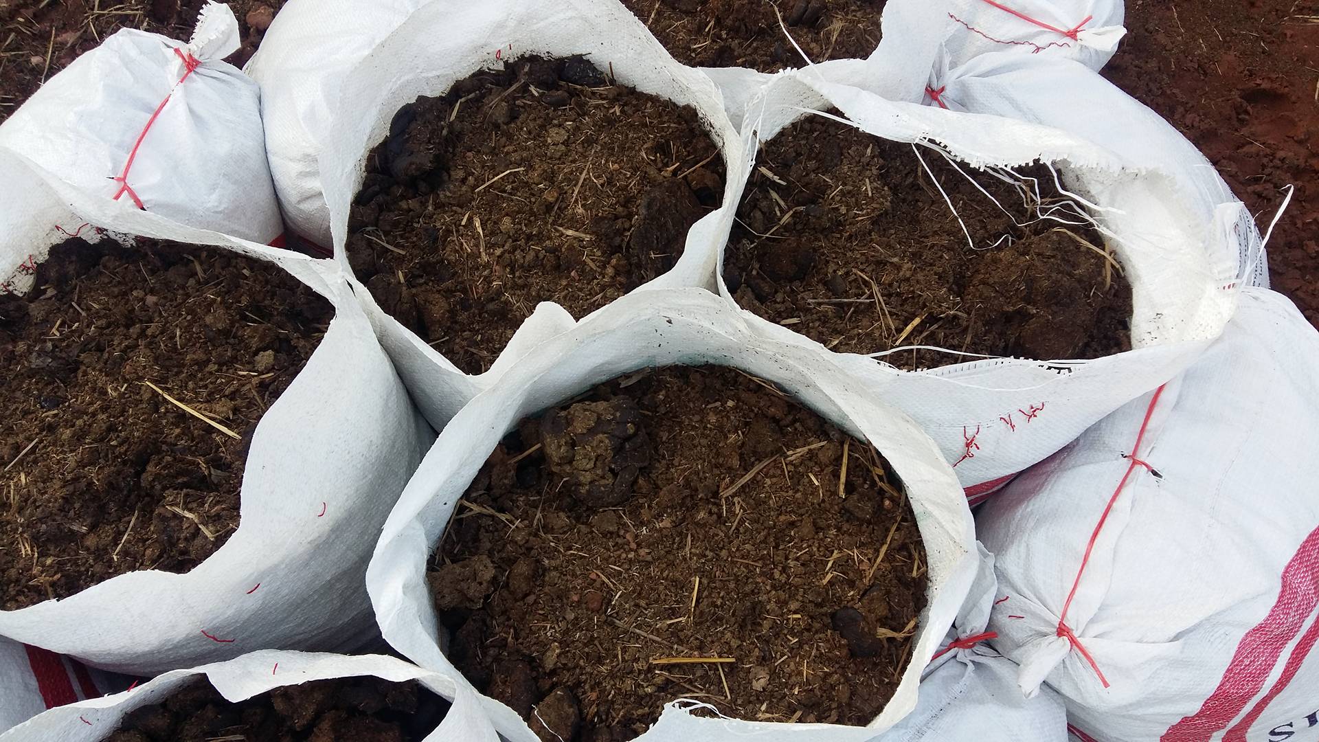 ปุ๋ยสูตรสำหรับพืช